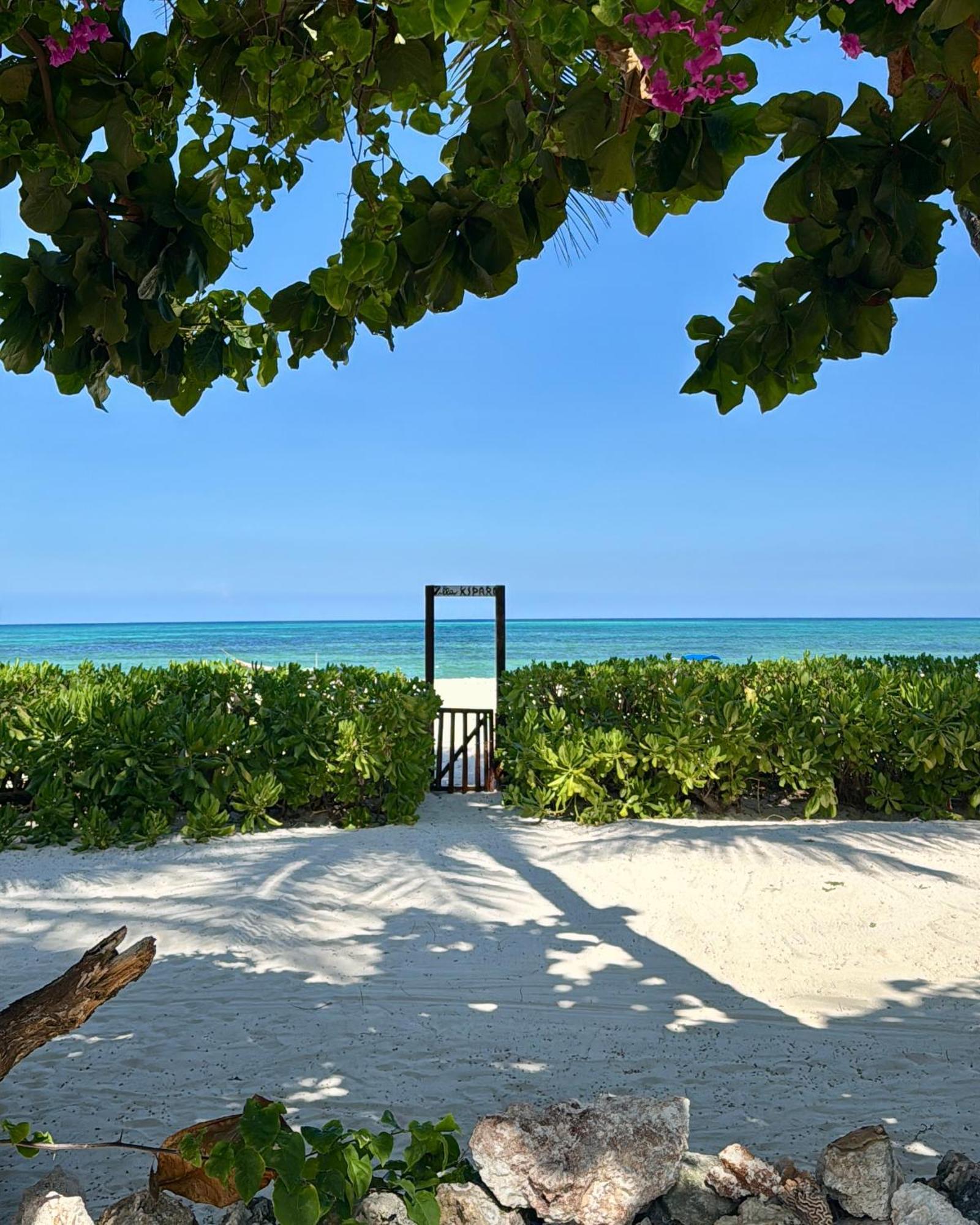 Villa Kipara - Private Beach & Pool Pwani Mchangani Eksteriør billede